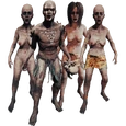 RegularCannibalsFarket