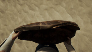 The Turtle Shell held by the player.