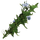 IconChicory.png