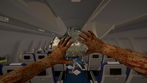 Blood on hands after plane crash