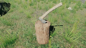 Rusty Axe Old Model