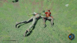 skin comparison between male and female