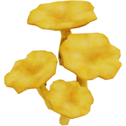 ChanterelleMushroomFarket