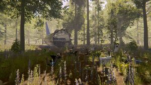 One of many plane crash locations