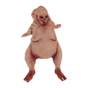 CowmanFarket