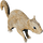 IconSquirrel