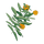 IconMarigold.png