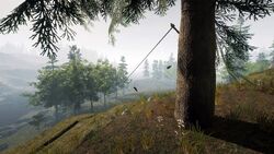 Zipline - Sons of the Forest Wiki