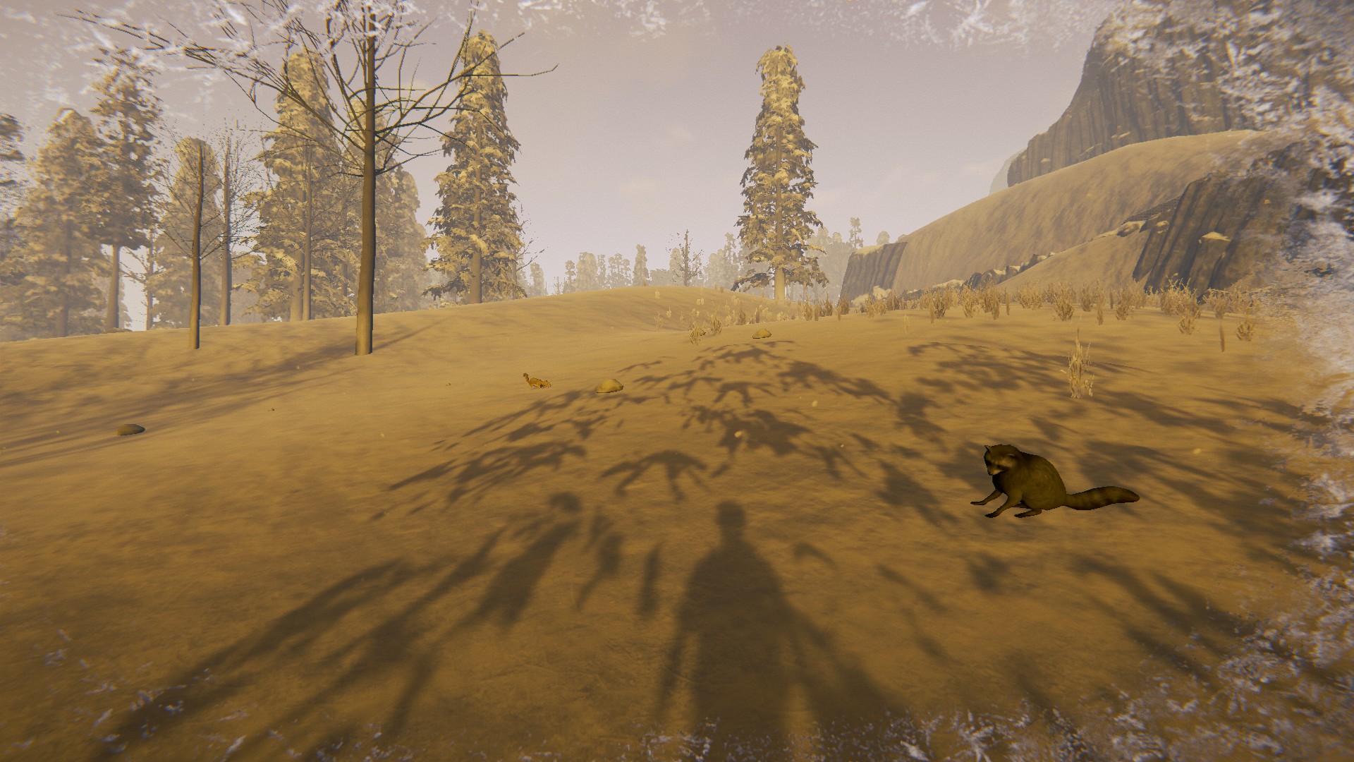 Raccoon Official The Forest Wiki Raccoon Official The Forest Wiki