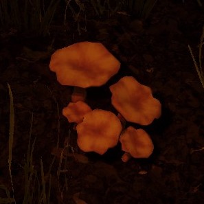 the forest wiki mushrooms