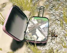 Spider on the ground from v1.0