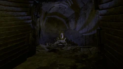the forest wiki fandom