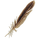IconFeather.png