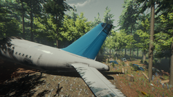 The Plane Official The Forest Wiki - story plane crash in the forest roblox