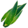 IconAloe