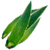 IconAloe