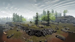 the forest wiki fandom