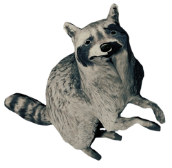 https://static.wikia.nocookie.net/theforest_gamepedia/images/d/dc/RaccoonFarket.png/revision/latest/scale-to-width-down/250?cb=20170913085346