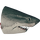 IconHeadShark