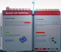 Basics of survival - page 3