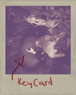 KeyCard1 Polaroid