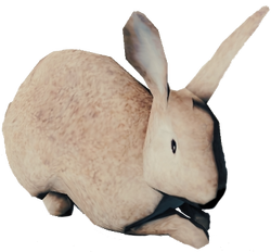 Rabbit - Official The Forest Wiki