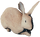 RabbitFarket