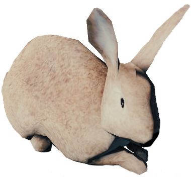 https://static.wikia.nocookie.net/theforest_gamepedia/images/e/e1/RabbitFarket.png/revision/latest?cb=20170916015610