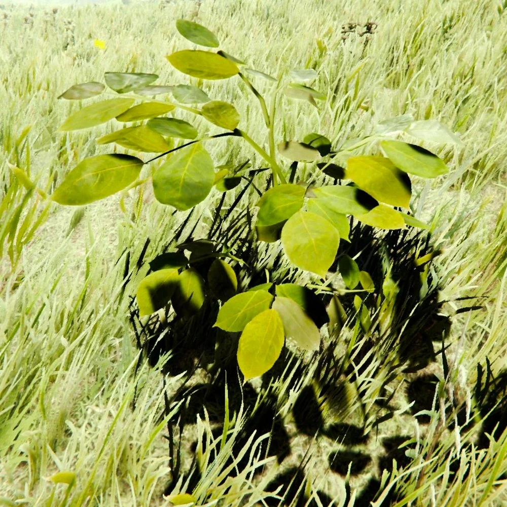 トップス *Rare* A/W 04 More Forest, Less Bushes Bush - Trees - Alpine Hill 4 - small trees, bushes, flowers and