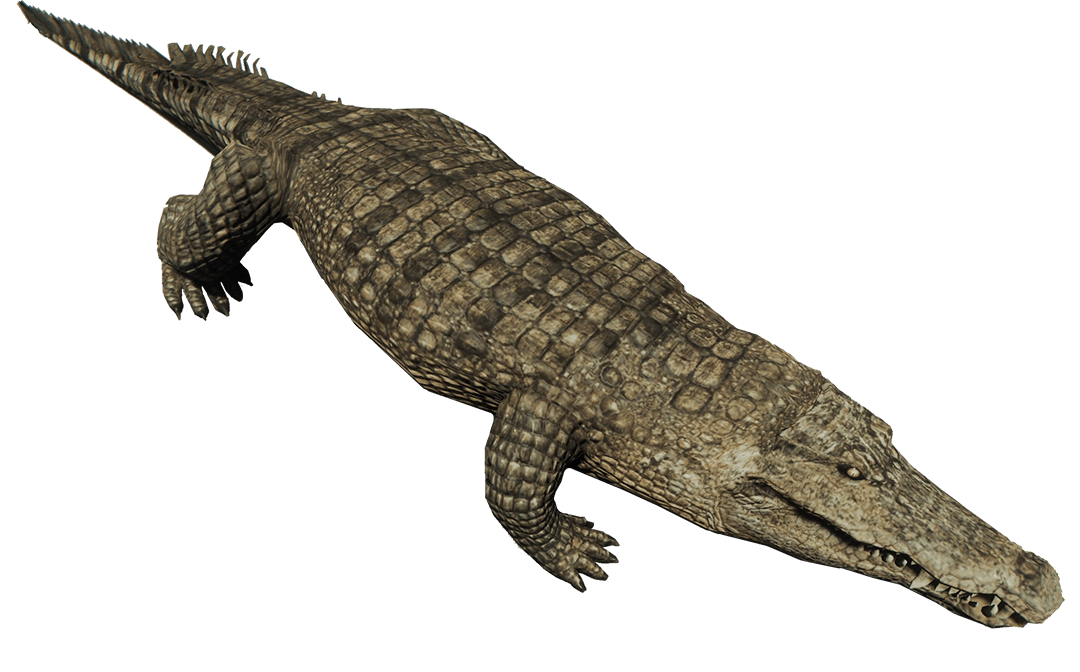 the forest wiki alligator