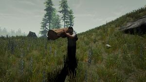 A log being carried by a player.