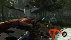 Birdhand2