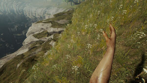 The Arm held by the player.
