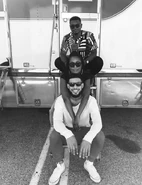 209 BTS4.png (405 KB)