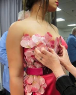 203 BTS4.jpg (149 KB)