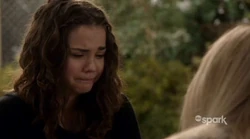 Fosters-11511.jpg (19 KB)