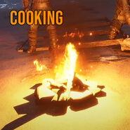Cooking