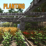 Planting