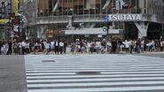 Shibuya Crossing