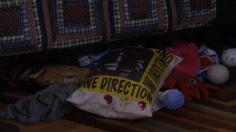 One Direction Pillow, Fuller House Wikia