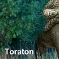 Toraton The Future Is Wild Wiki Fandom But young toraton often fall victim to swampus,lizard men and sometimes lurkfish. toraton the future is wild wiki fandom