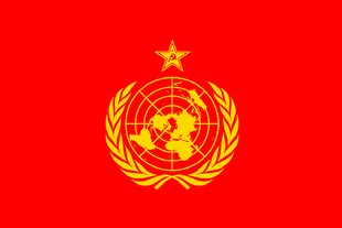 Flag of the Socialist Union