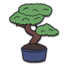 Bonsai Tree