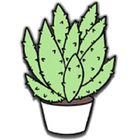 Spiky Cactus