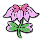 Pink Lily