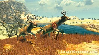 cabela's monster buck hunter wii