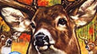 cabela's monster buck hunter wii