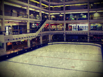Arena1104.jpg