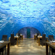 Ithaa-undersea-restaurant-hilton-maldives-xl