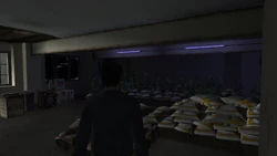 A room used for growing weed plants on the first floor of the Yardie Drug Factory.